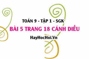 Bài 5 trang 18 Toán 9 tập 1 Cánh Diều